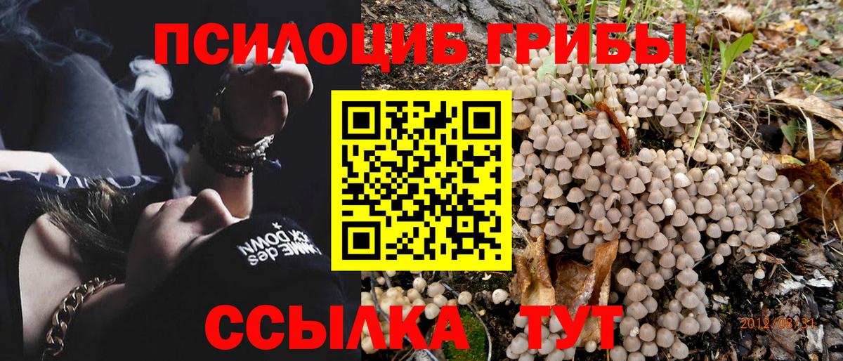 Среднеуральск  Псилоцибиновые грибы GOLDEN TEACHER  Вход с VPN 